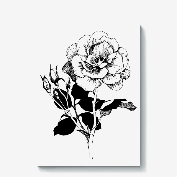 Холст «Роза. Черно-белая графика»