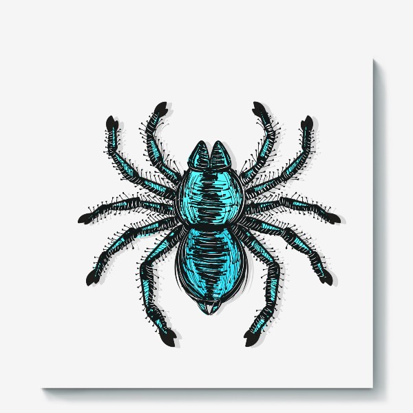 Холст «spider tarantula vector color drawing vector illustration»
