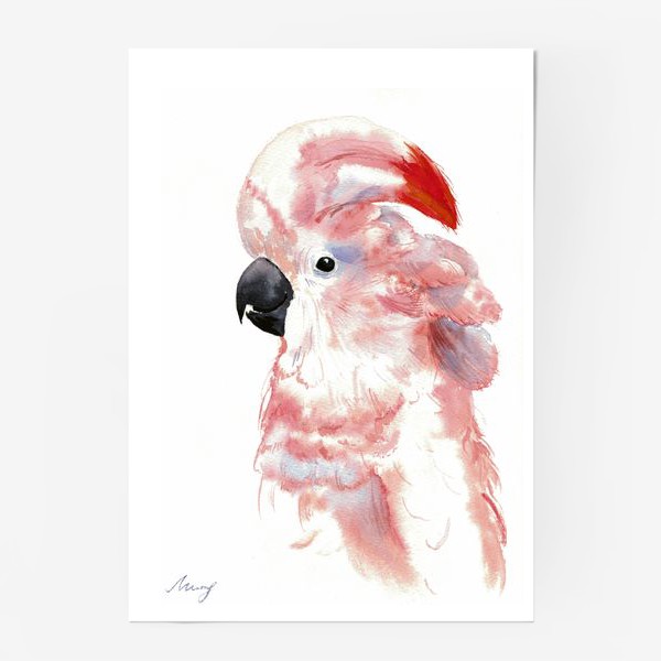 Постер «Розовый какаду»