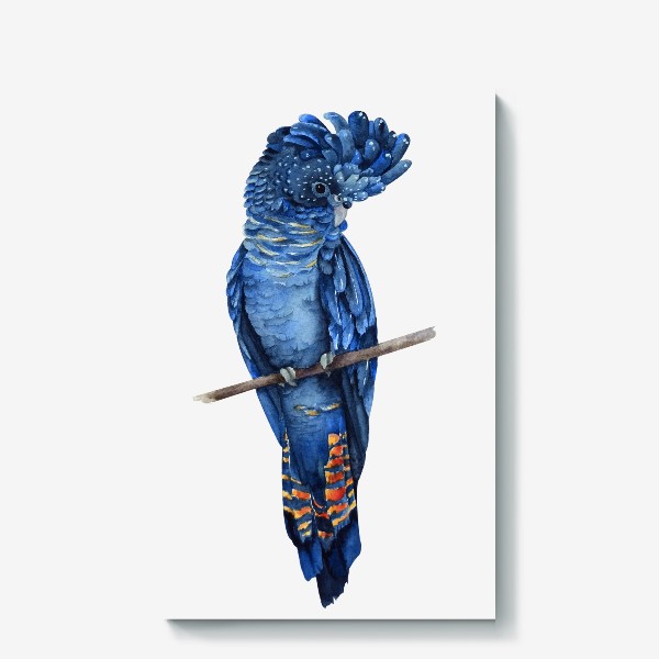 Холст «Синий попугай»