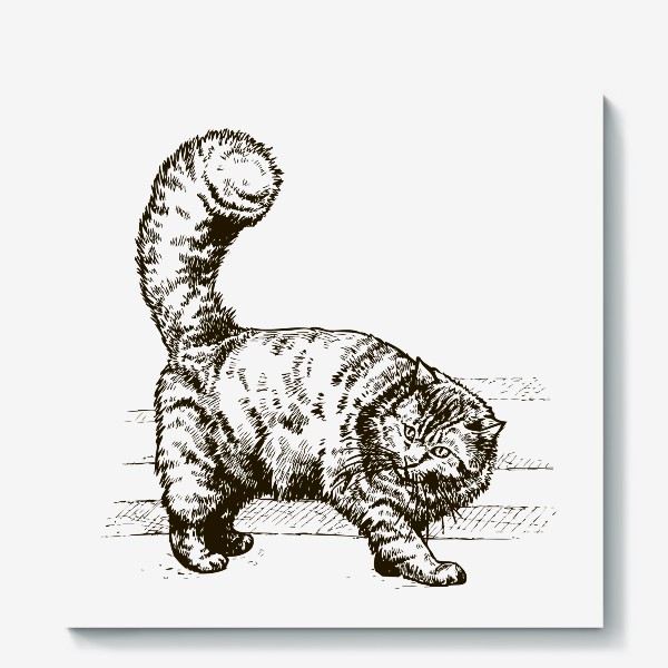 Холст «графика пушистый кот»