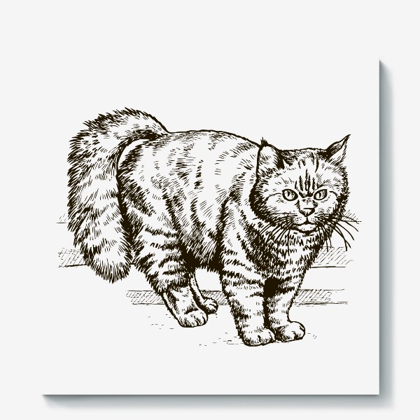 Холст «графика пушистый кот»