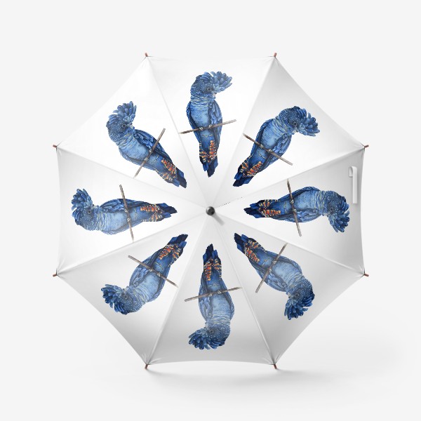 Зонт «Синий попугай»