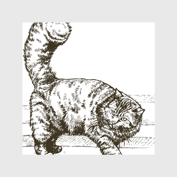 Скатерть «графика пушистый кот»
