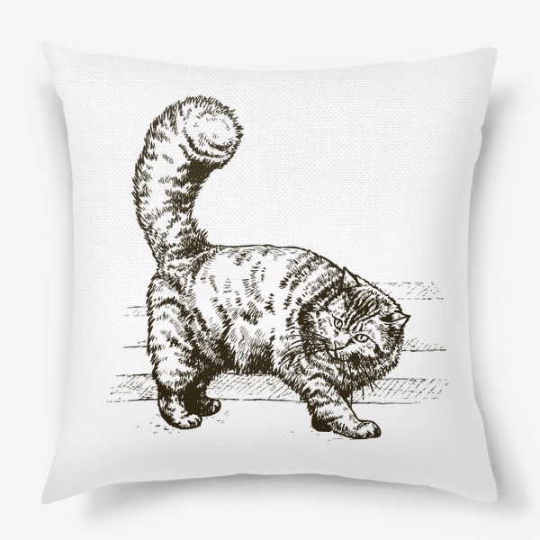 Подушка «графика пушистый кот»