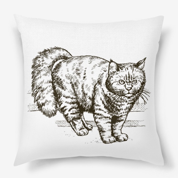 Подушка «графика пушистый кот»