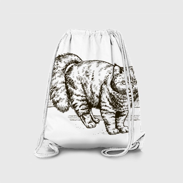 Рюкзак «графика пушистый кот»