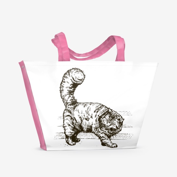 Пляжная сумка «графика пушистый кот»