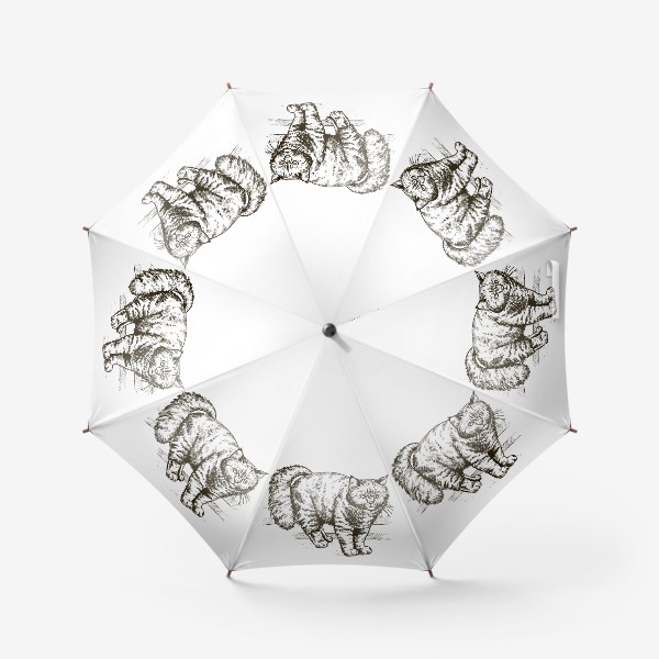Зонт «графика пушистый кот»