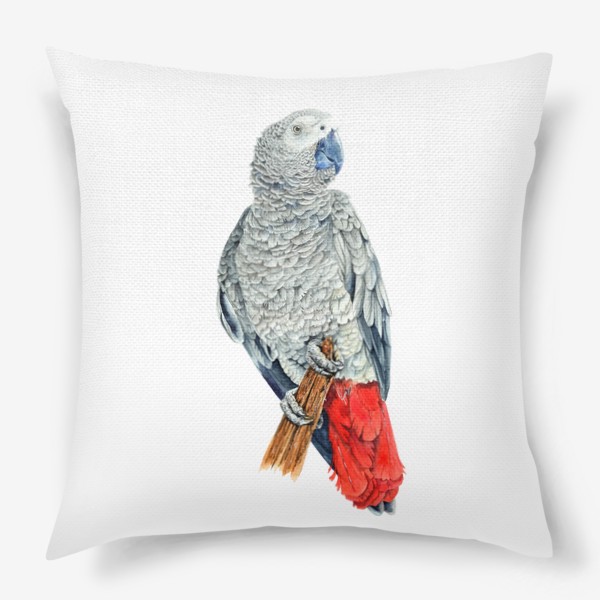 Подушка «Попугай Жако»