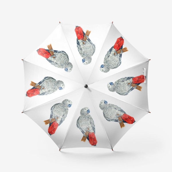 Зонт «Попугай Жако»