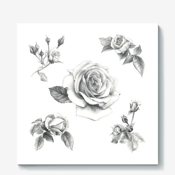 Холст «Винтажные розы на белом фоне ПОСТЕР»
