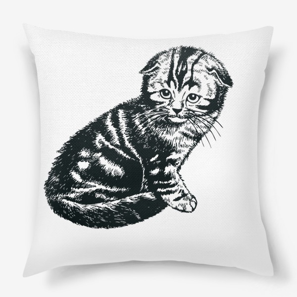 Подушка «вислоухий шотландский котенок рисунок графика»