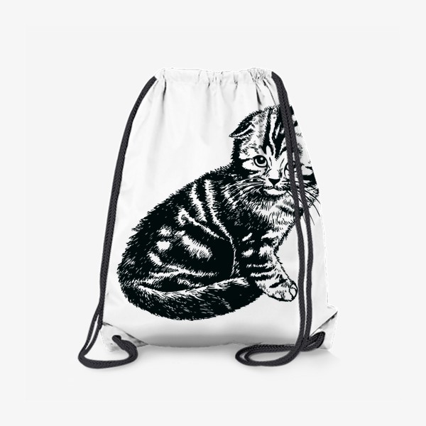 Рюкзак «вислоухий шотландский котенок рисунок графика»