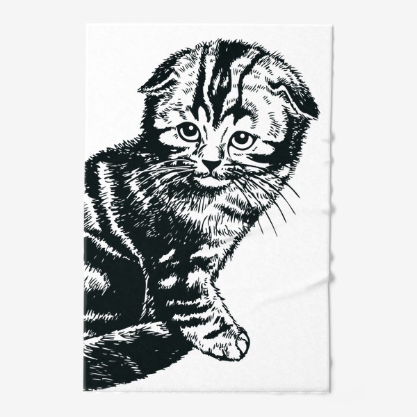 Полотенце «вислоухий шотландский котенок рисунок графика»