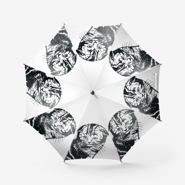 Зонт «вислоухий шотландский котенок рисунок графика»