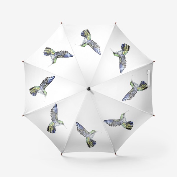 Зонт «Птичка Колибри»