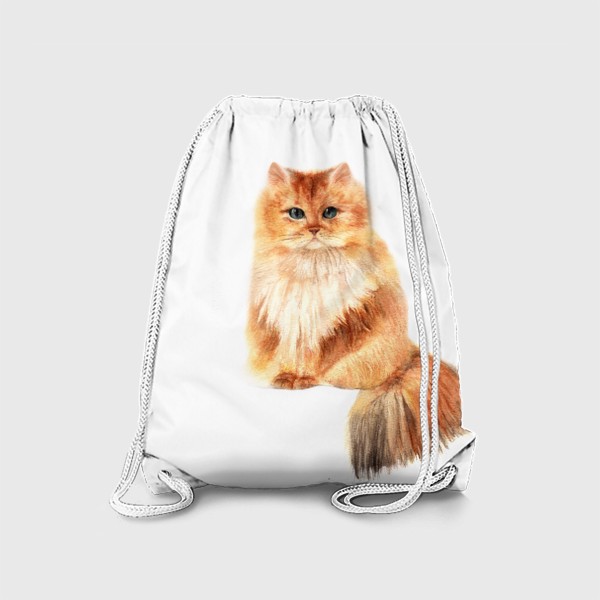 Рюкзак «Рыжий котик»