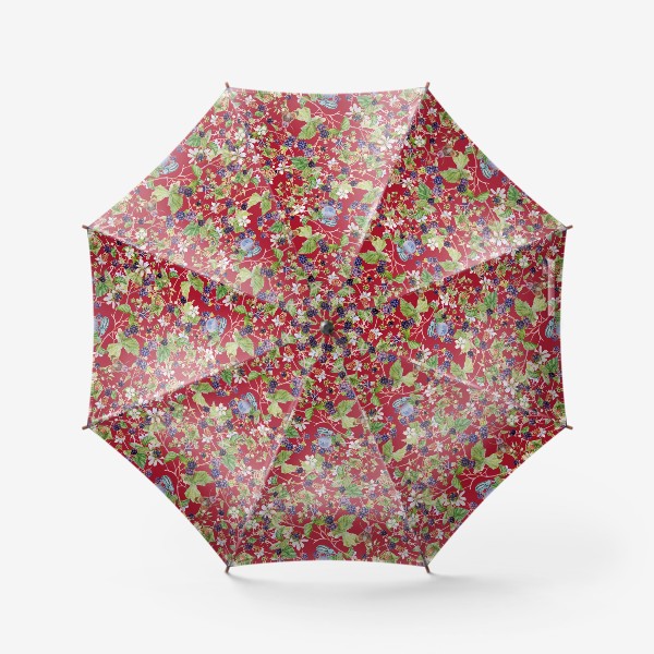 Зонт «Акварель ежевика на красном фоне»