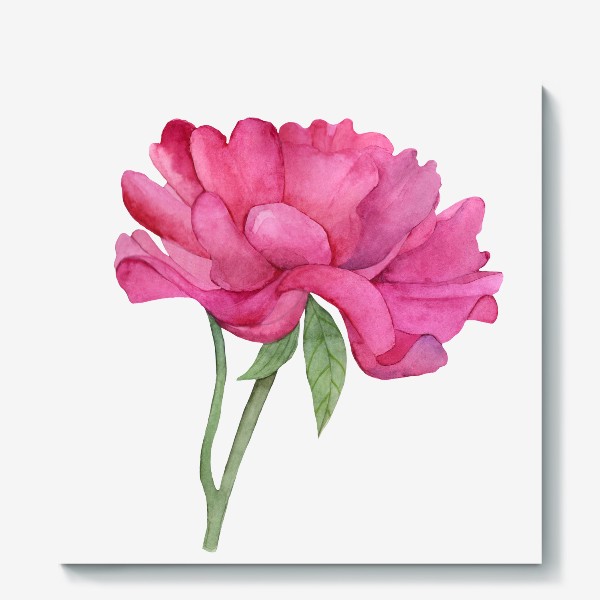 Холст &laquo;Акварель цветок весна лето Розовый пион&raquo;