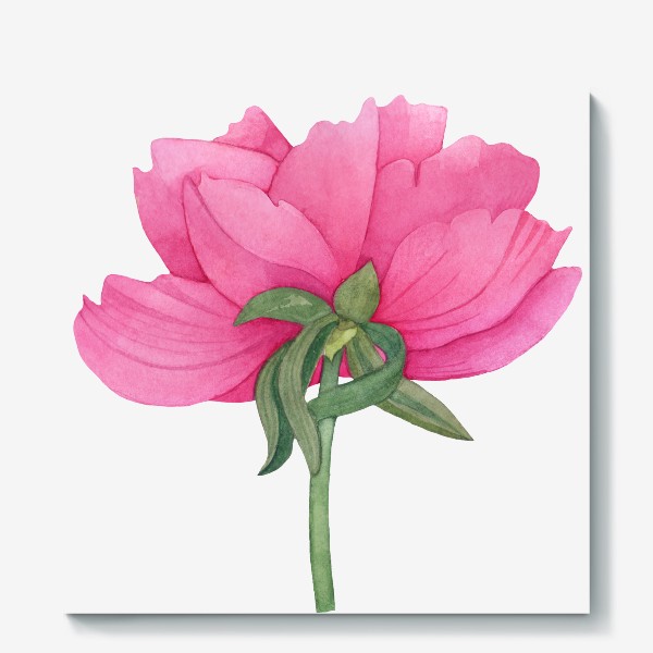Холст «Акварель цветок Розовый пион 2»