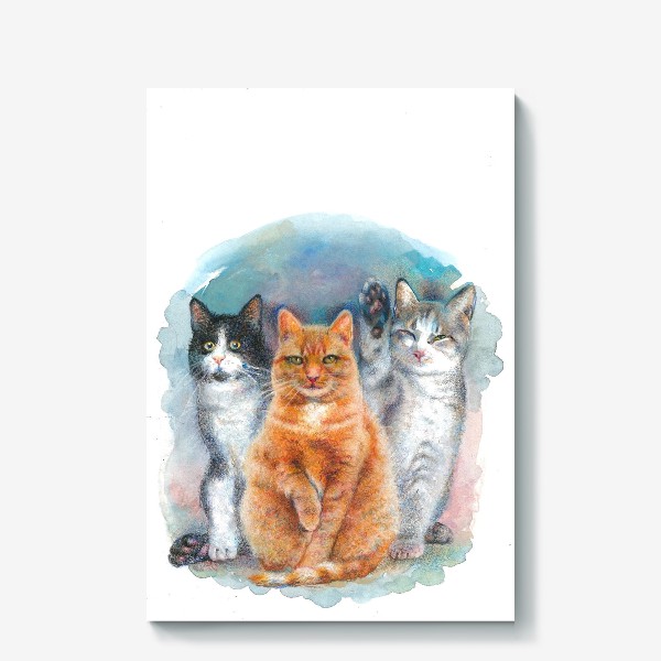 Холст «Три кота, котики, коты»