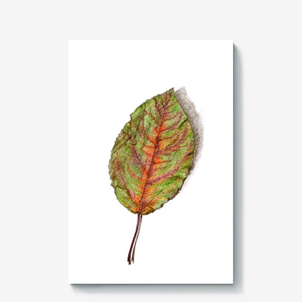Холст &laquo;Осенний лист. Autumn Leaf&raquo;