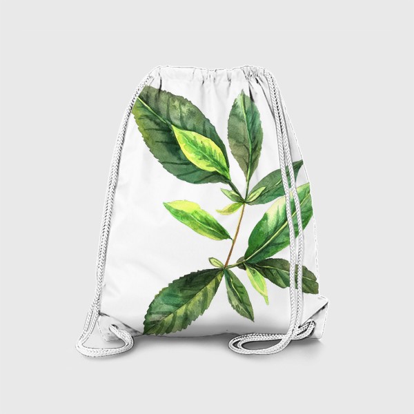 Рюкзак «Зеленый чай. Ботанический скетч. »