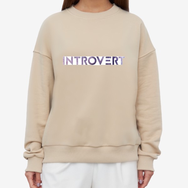 Свитшот «Introvert»