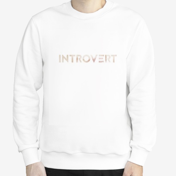 Свитшот «Интроверт»