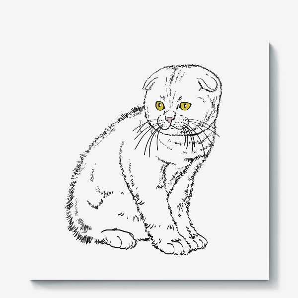 Холст «Вислоухий котенок рисунок»