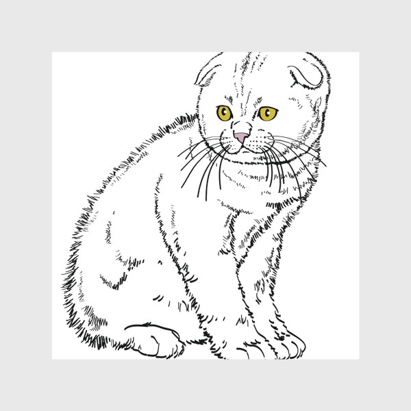 Шторы «Вислоухий котенок рисунок»