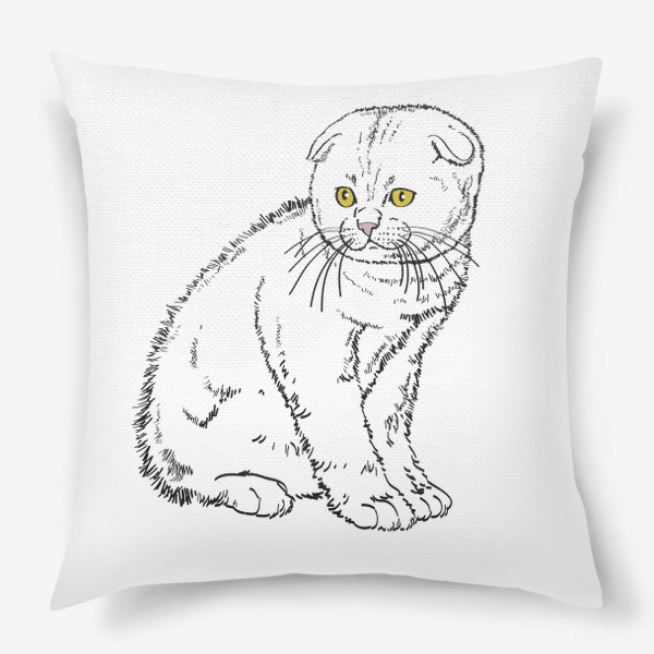Подушка «Вислоухий котенок рисунок»