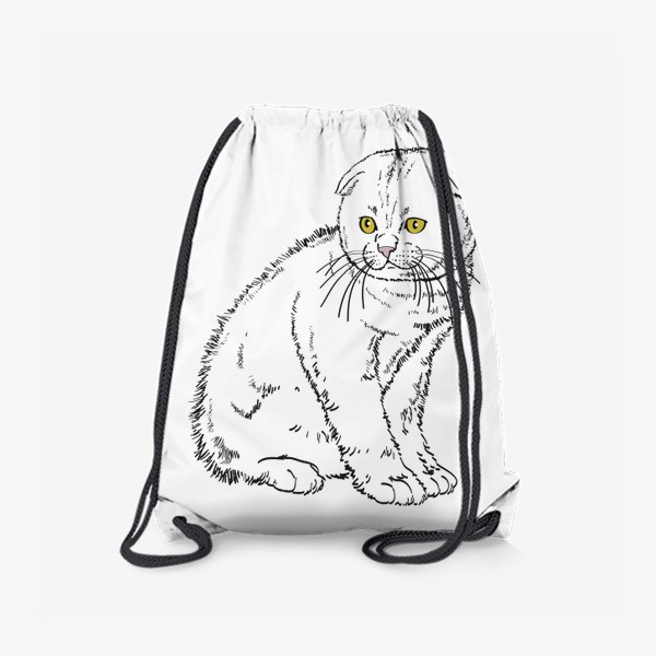 Рюкзак «Вислоухий котенок рисунок»