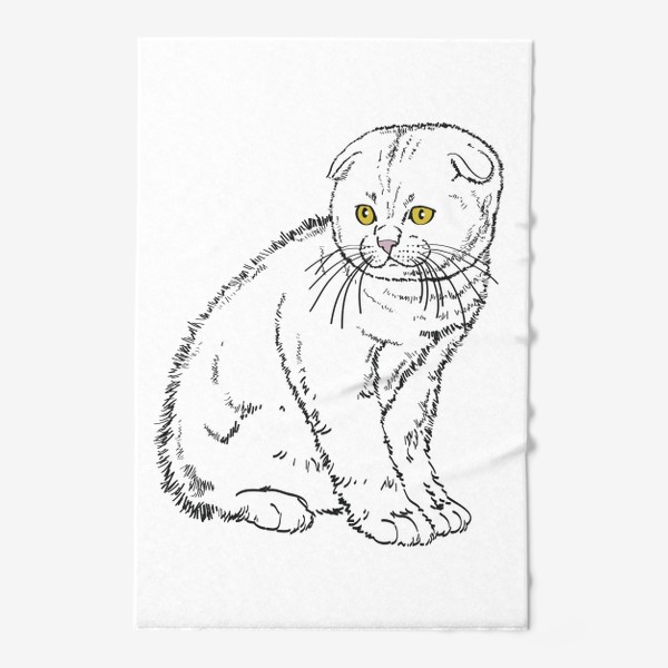 Полотенце «Вислоухий котенок рисунок»