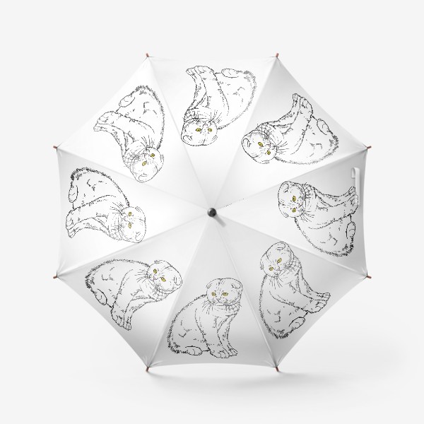 Зонт «Вислоухий котенок рисунок»