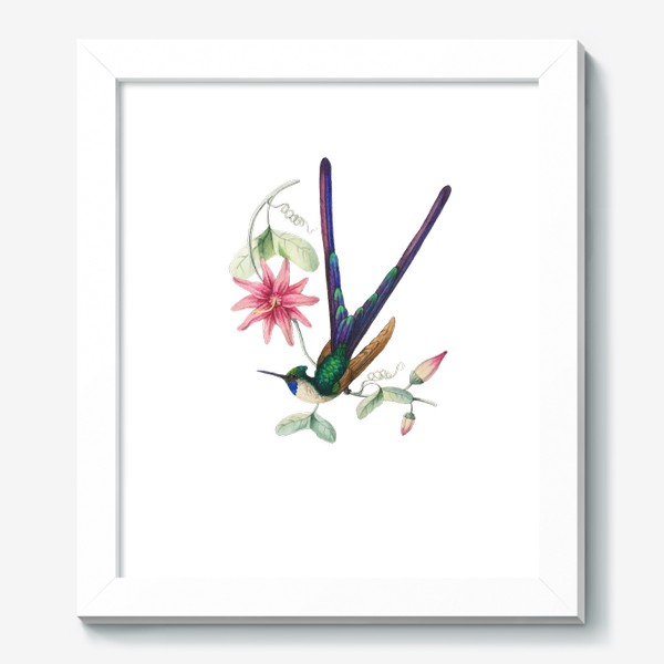 Картина «Колибри с фиолетовым хвостом»