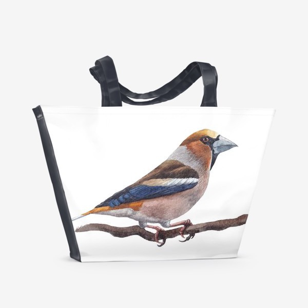 Пляжная сумка «Птица на ветке. Дубонос. Акварель. Рисунок»