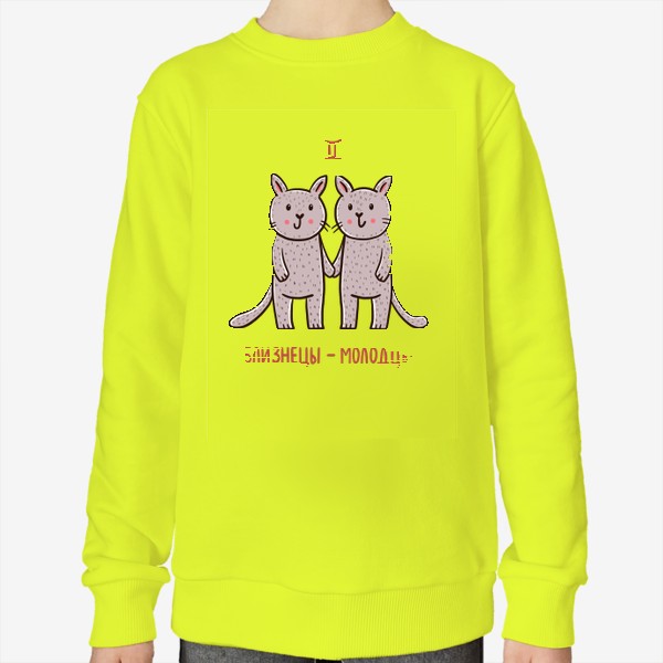 Свитшот «Милые котики. Близнецы - молодцы. Подарок близнецам»