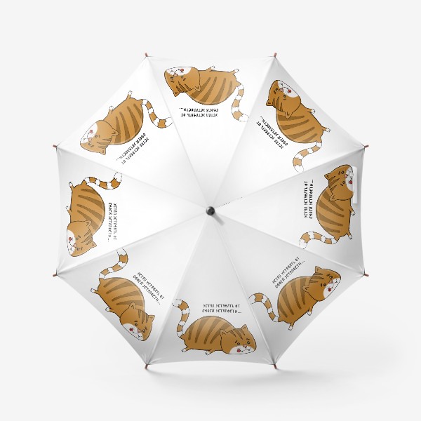 Зонт «Усталый кот»