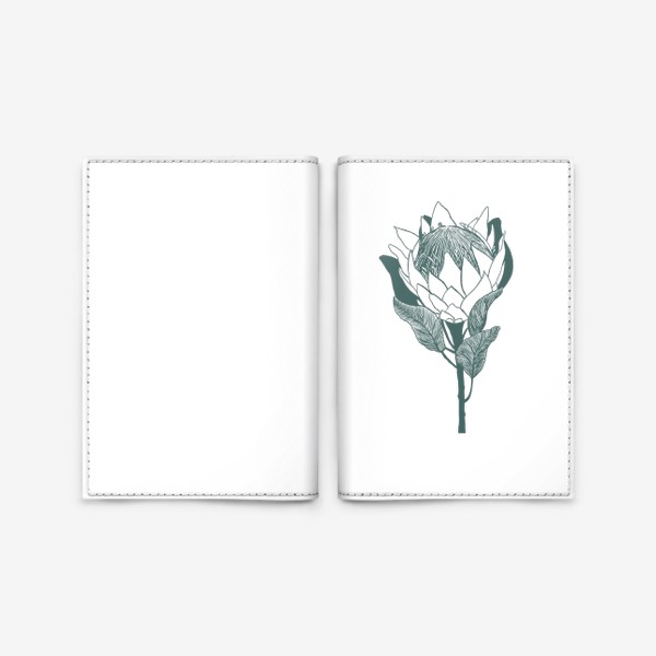 Обложка для паспорта «Цветок протеи в графическом стиле»