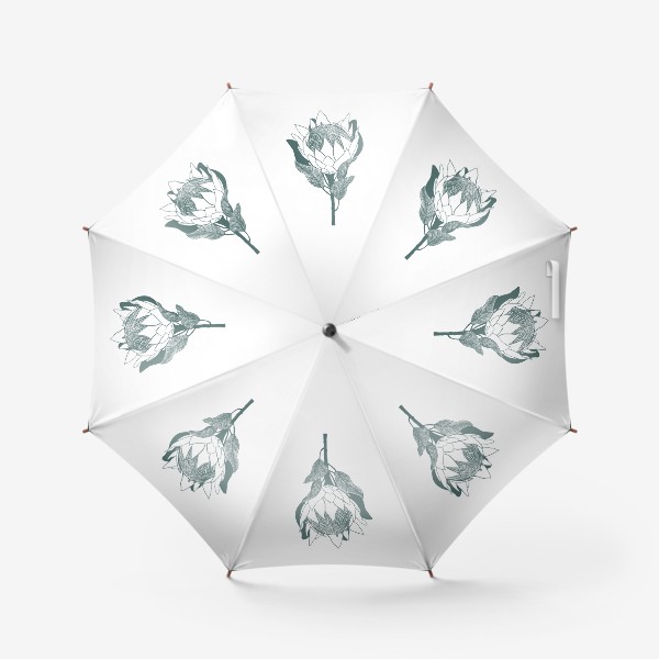 Зонт &laquo;Цветок протеи в графическом стиле&raquo;