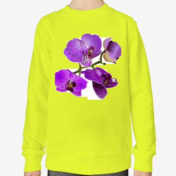 Свитшот &laquo;Цветы розовая орхидея &raquo;