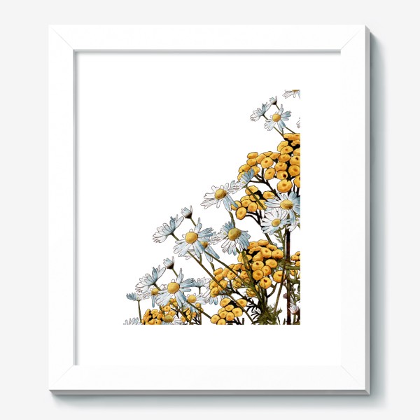 Картина «Полевые цветы ромашка пижма»