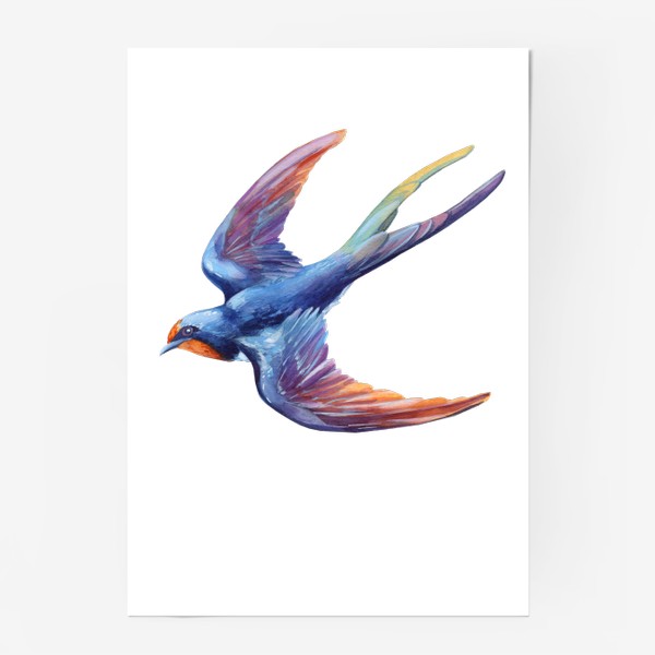 Постер «Летящая птица. Ласточка»