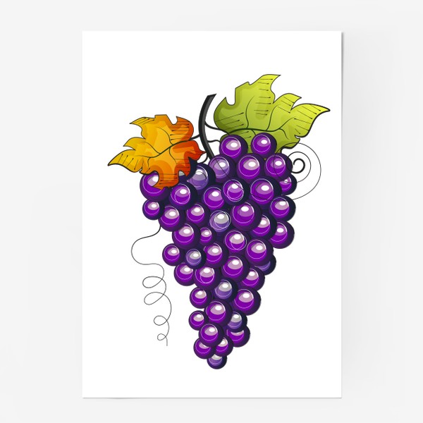 Постер «Виноград»