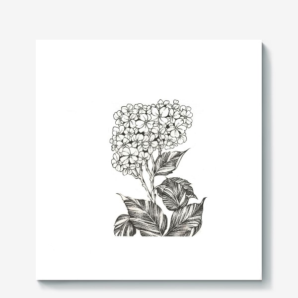 Холст «Цветы цветущая Гортензия »
