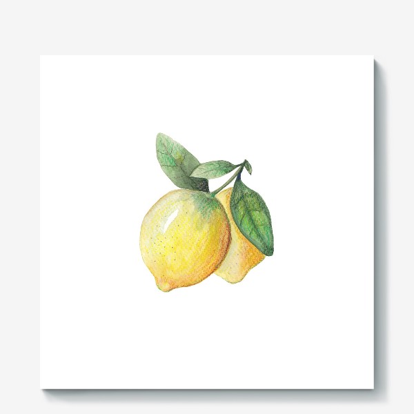 Холст «Лимон на белом фоне»