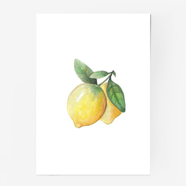 Постер «Лимон на белом фоне»