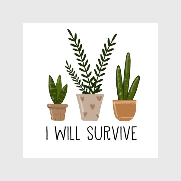 Шторы «I will survive»